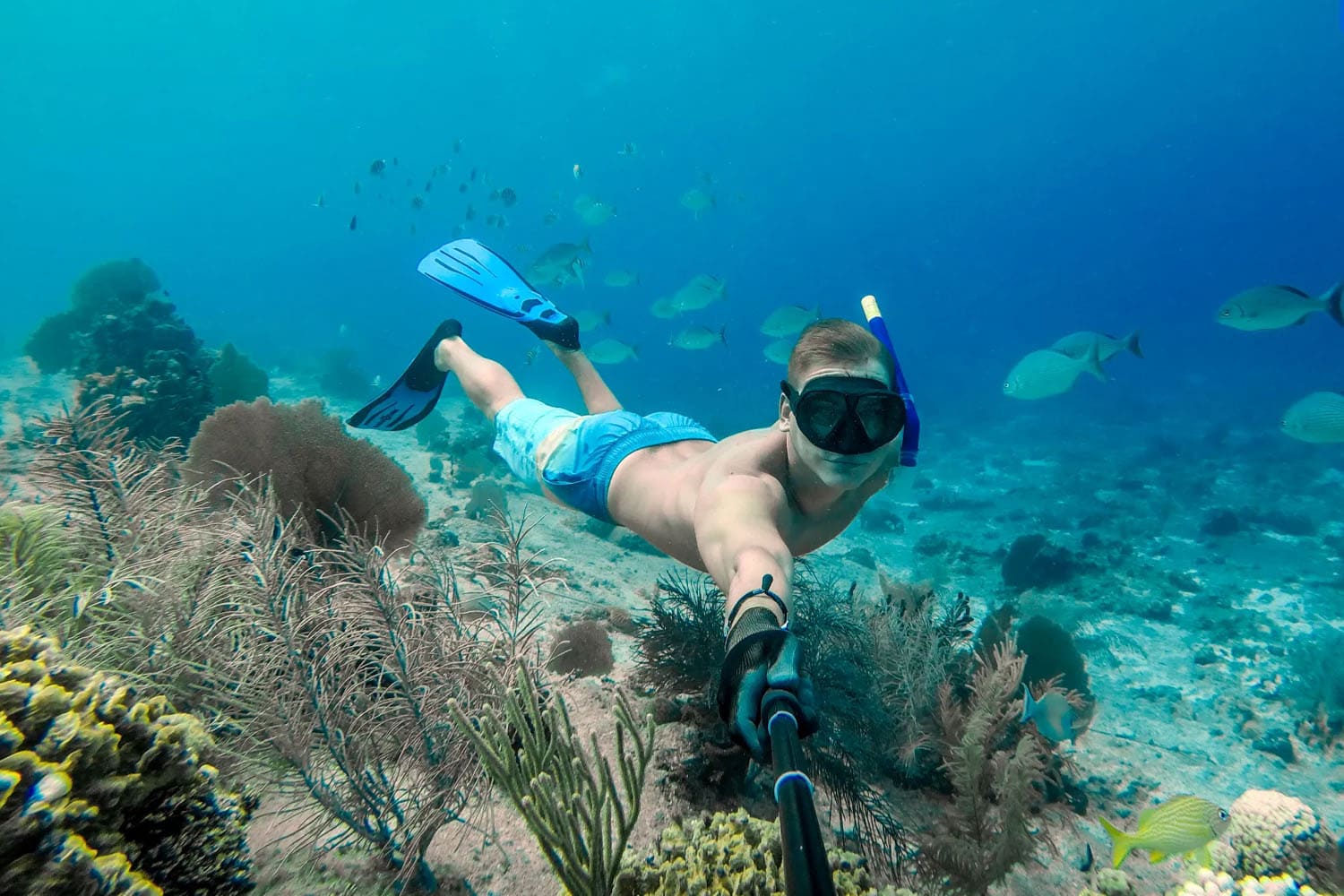 Package 1D1N & Snorkeling