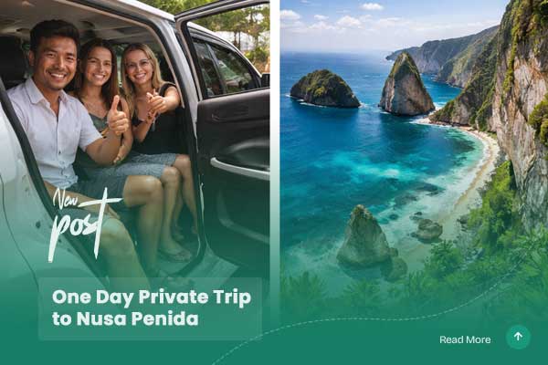 One Day Private Trip to Nusa Penida
