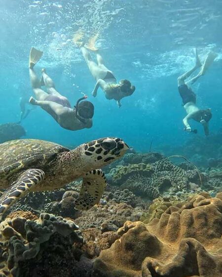 nusa penida day trip