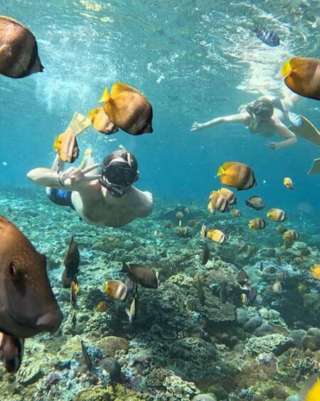 private trip nusa penida