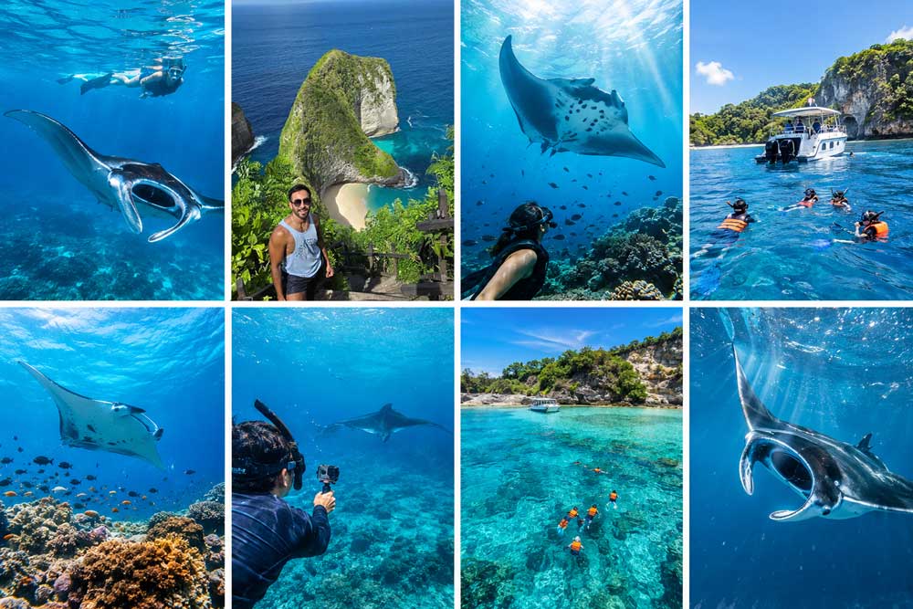 Paket Snorkeling Manta Nusa Penida