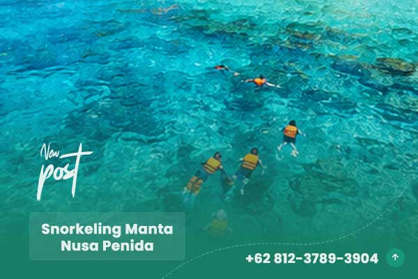Snorkeling Manta Nusa Penida